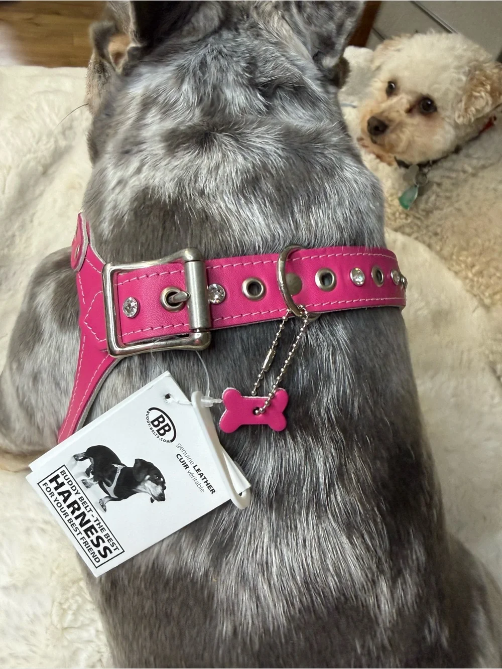 Buddy Belts Pink Leather Dog Harness with Swarovski Crystals & Soft Padding